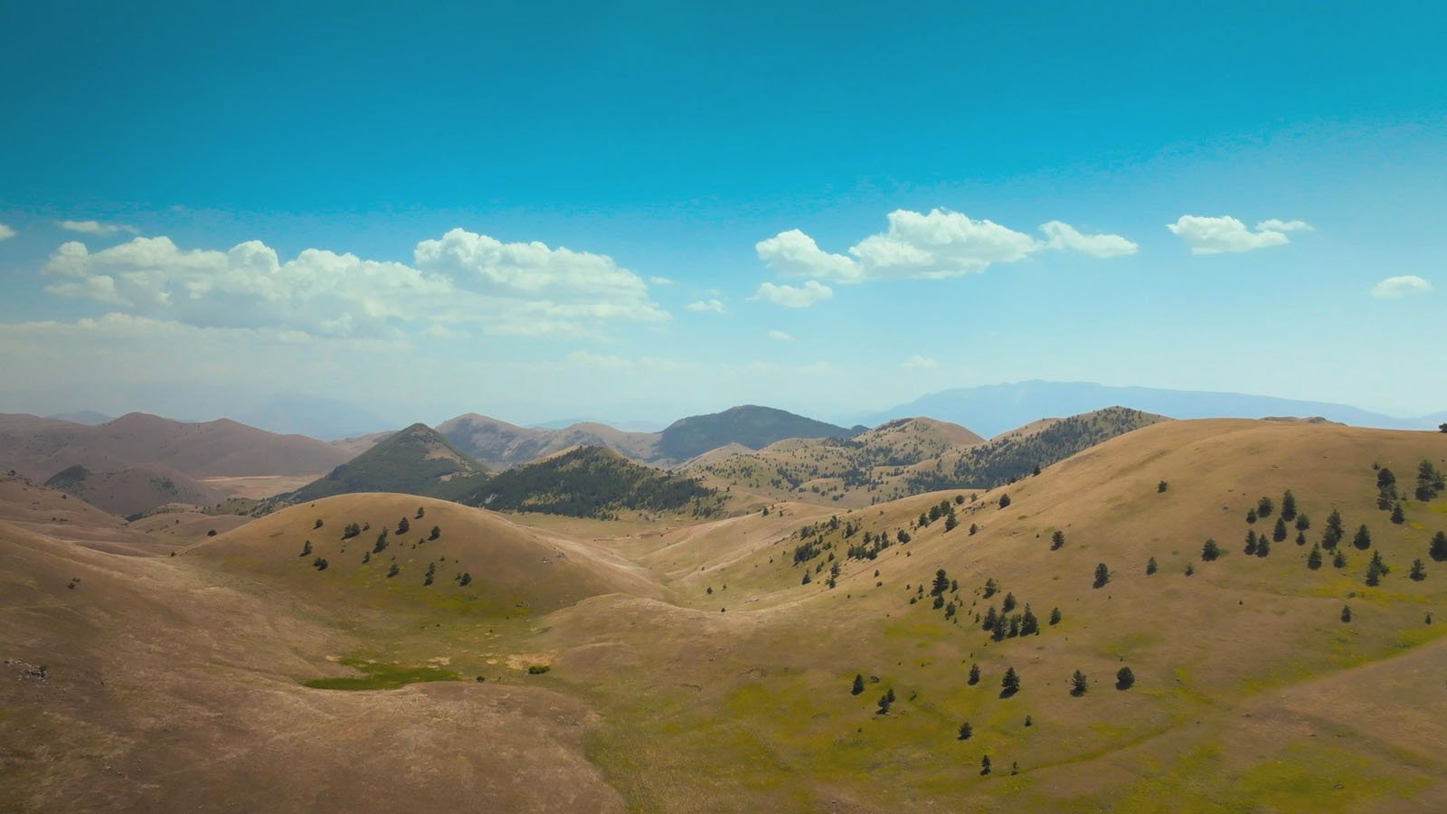 Rolling hills with scattered trees under a bright blue sky with a few white clouds; distant mountains are visible on the horizon.