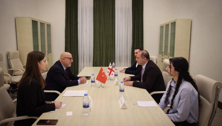 Givi Mikanadze Meets with the Ambassador Extraordinary and Plenipotentiary of the Republic of Turkey to Georgia