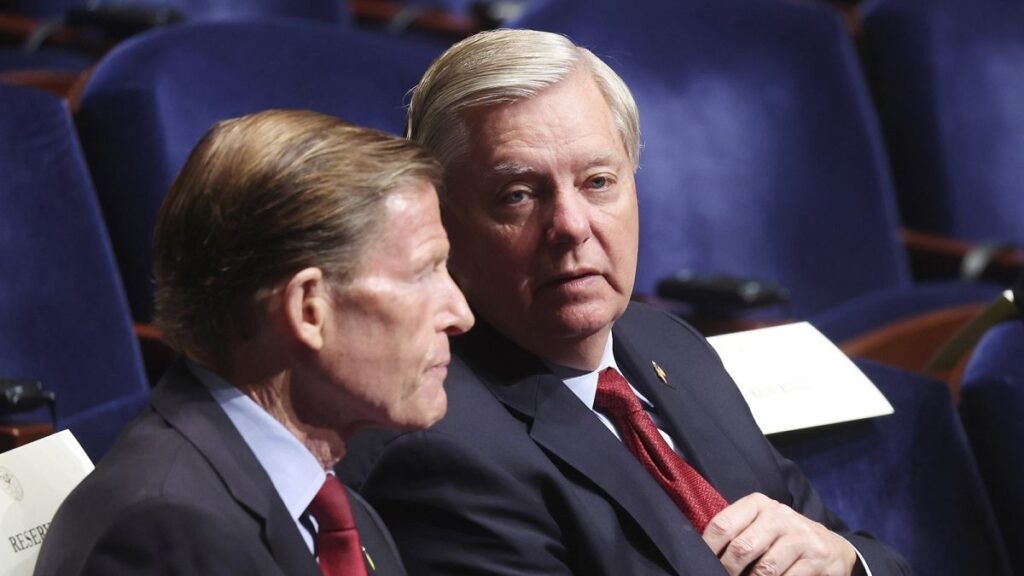 New US Senate bill could wreck Russia, but damage EU economy