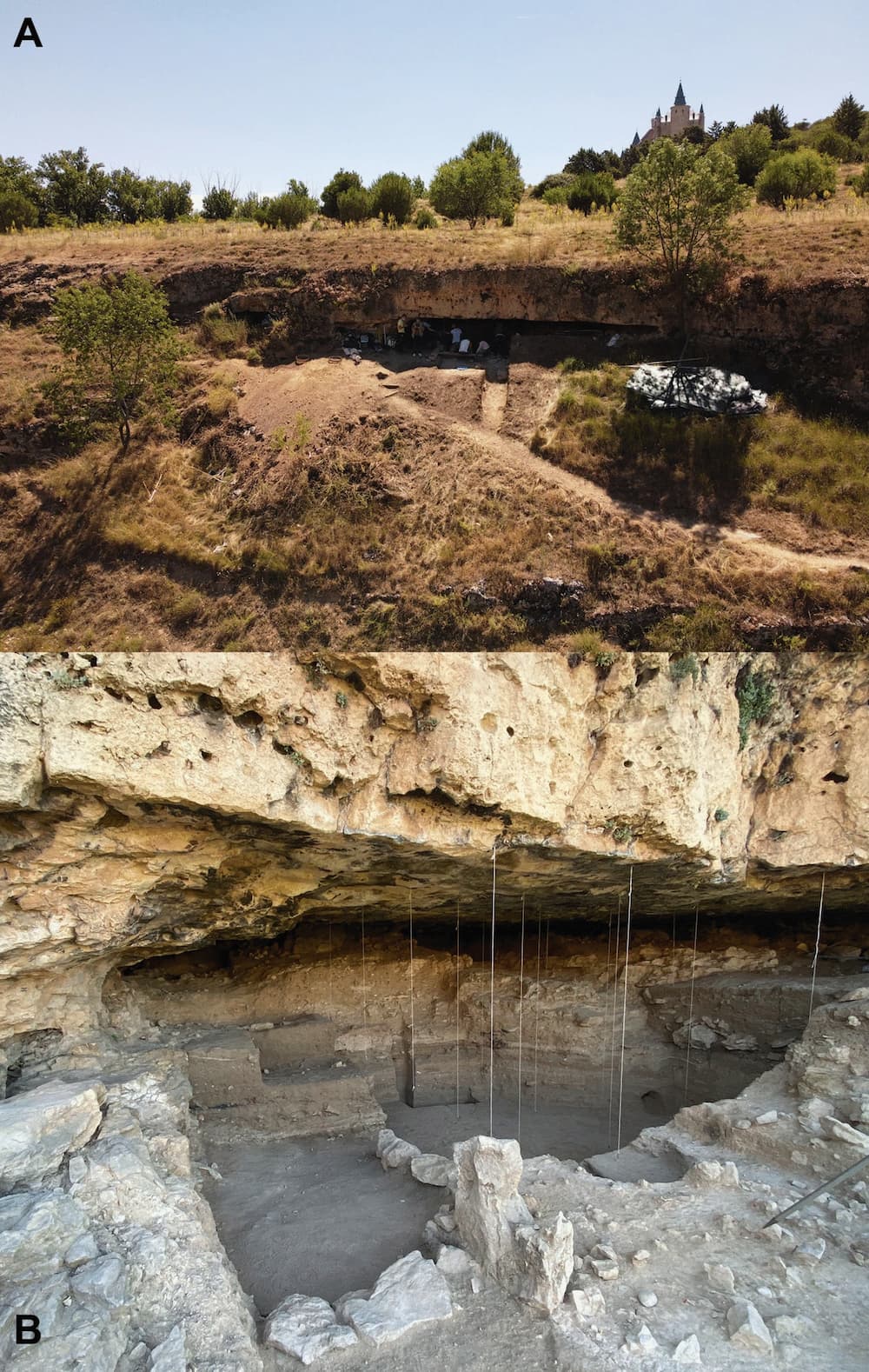 Neanderthal fingerprint found in Spain is the oldest in world