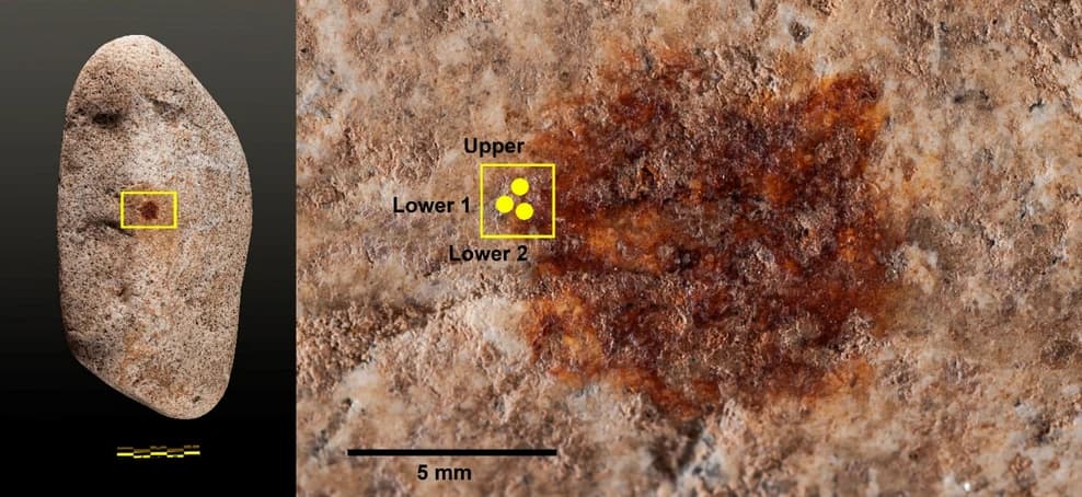 Neanderthal fingerprint found in Spain is the oldest in world
