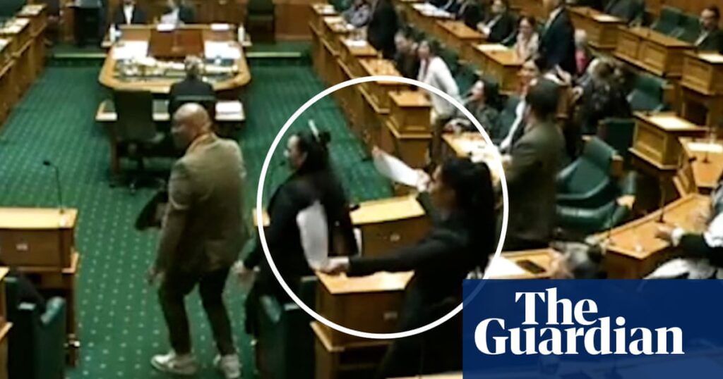 New Zealand MPs who performed haka in parliament given unprecedented punishment | New Zealand