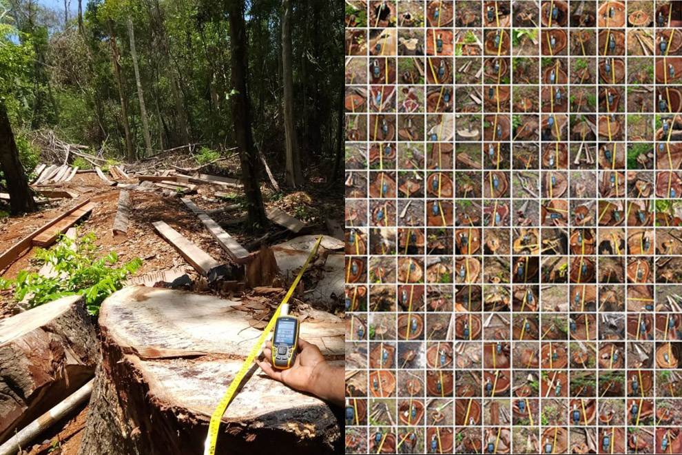 ​Sophalleth reminds environment officials of need for strict measures against forest crimes
