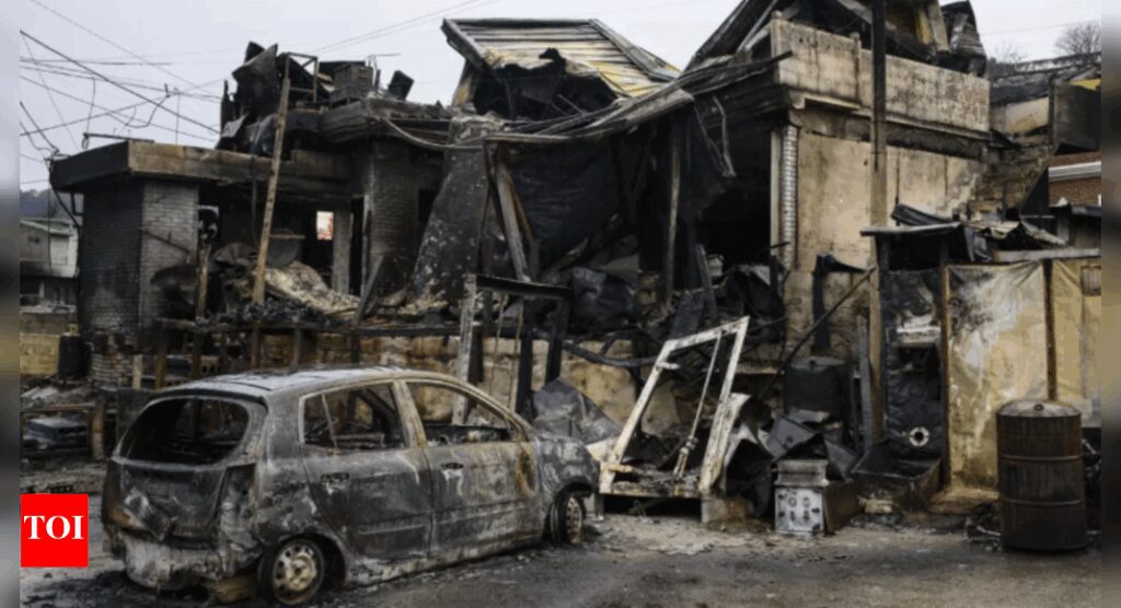 Climate change made fire conditions twice as likely in South Korea blazes: Study | Climate change made fire conditions twice as likely in South Korea blazes: Study |