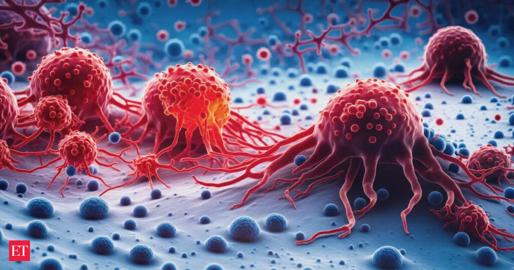 New Zealand Budget 2025 deals a big blow to blood cancer patients