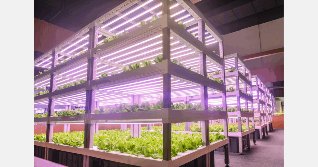 Canada sees rising interest in controlled environment agriculture