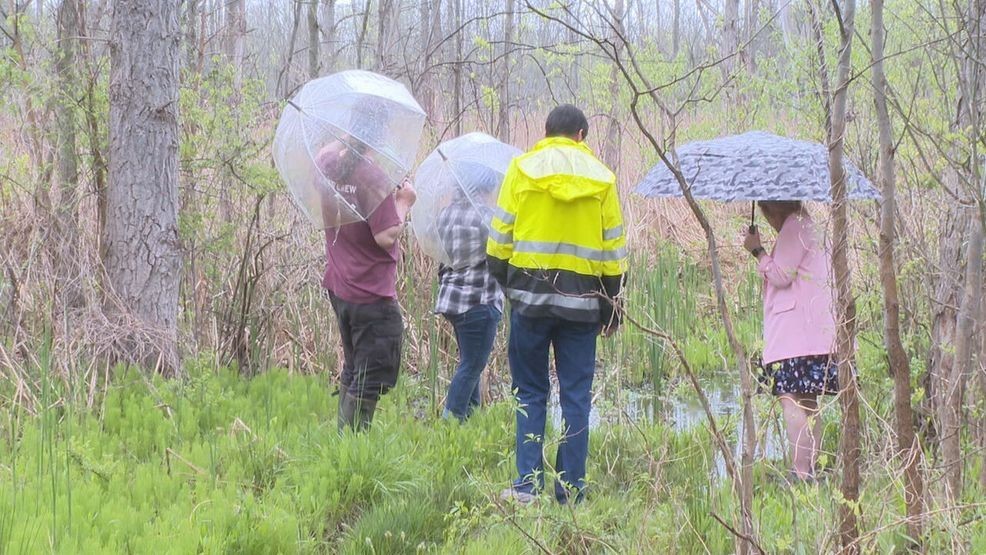Neighbors push back against Greece senior living project amid environmental concerns station icon
