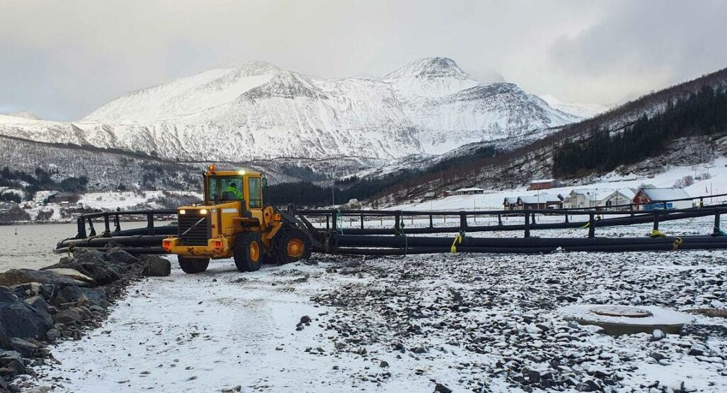 Co-owner of Norway's Nova Sea killed in traffic collision