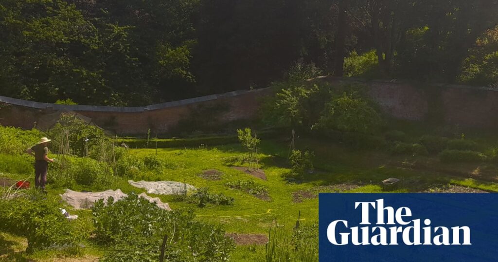Country diary: A paradise inside four walls | Environment
