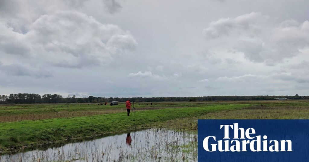 Eighty percent of England’s peatlands are dry and degraded, mapping shows | Environment