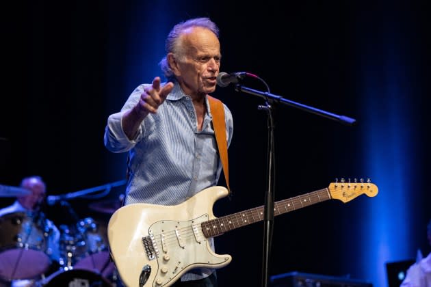 Al Jardine - Credit: Scott Dudelson/Getty Images