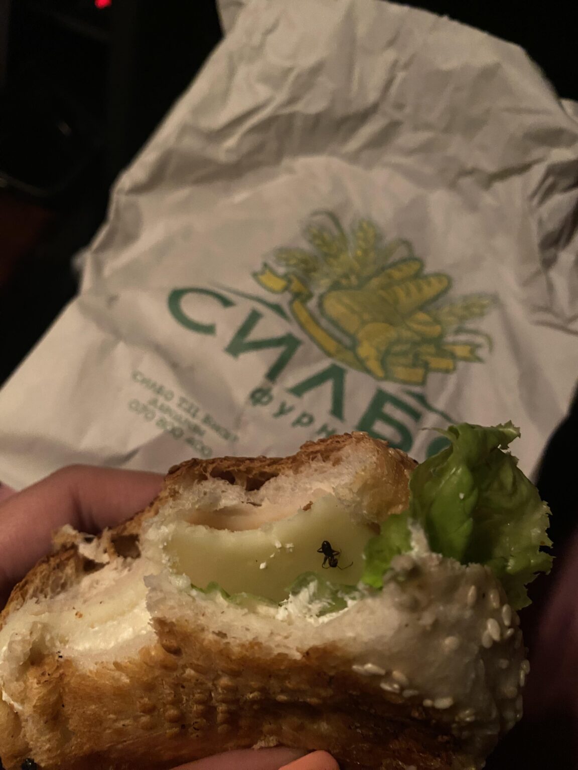 Extra protein in Silbo