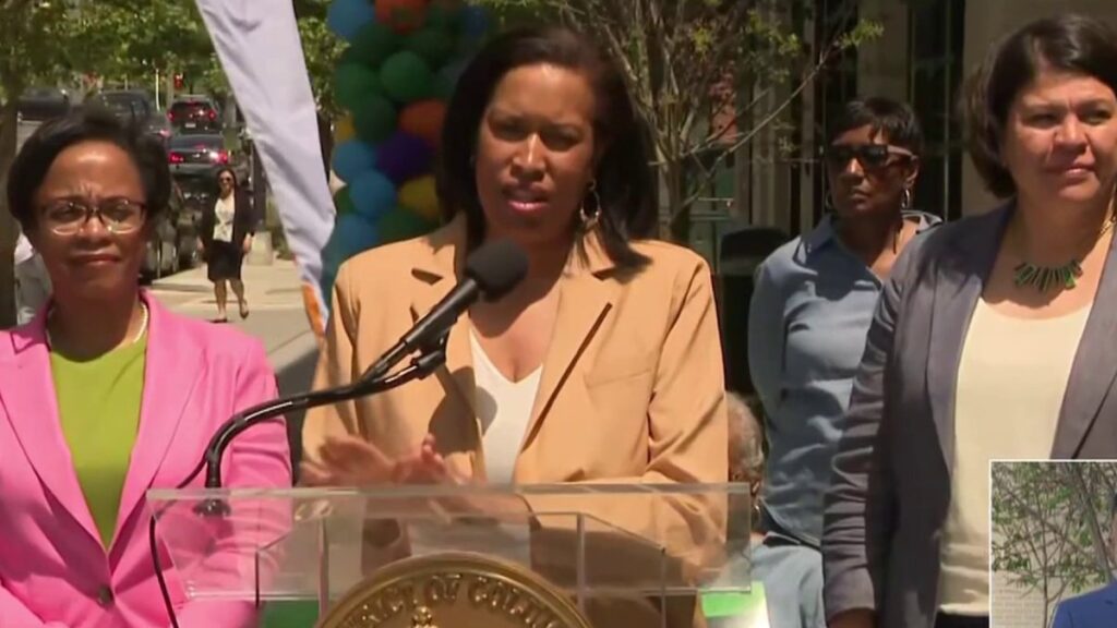 ‘DOGE economy’ slows DC down, mayor says – NBC4 Washington