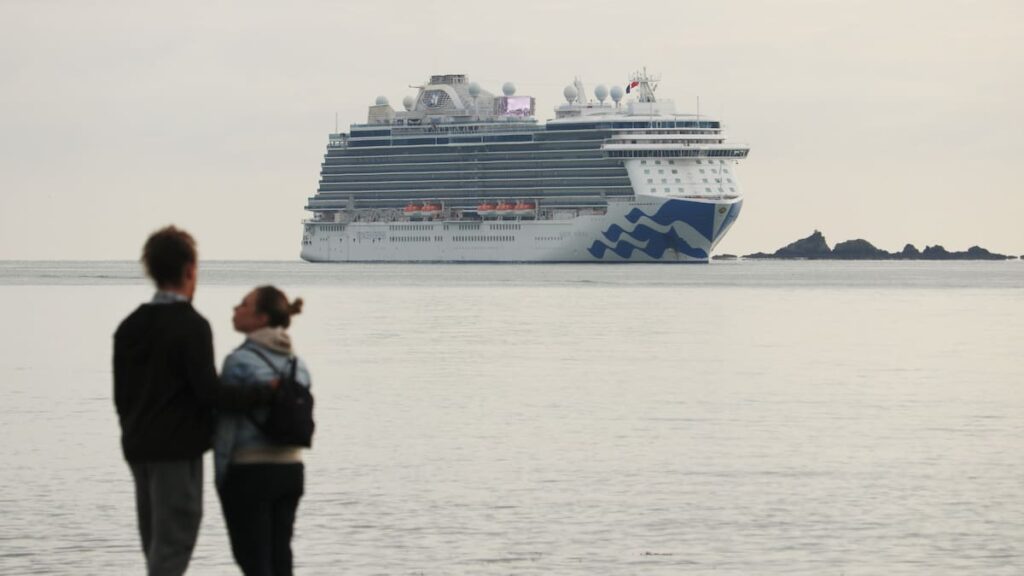 New Zealand’s cruise industry falters as bookings drop 40%