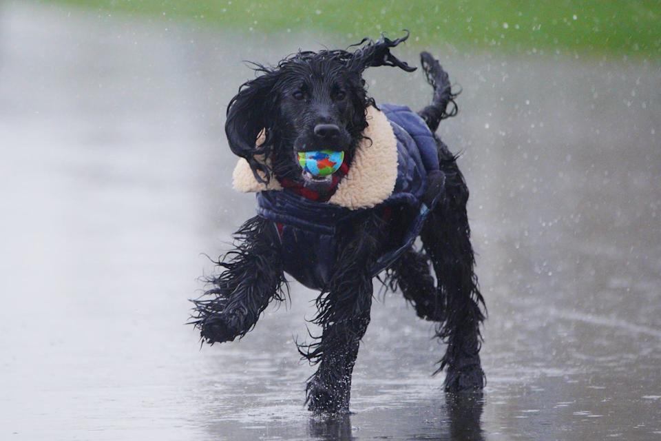 Parts of the UK are braced for a damp start to the week (PA Wire)