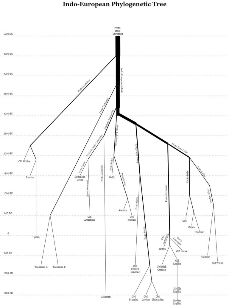 Indo-European tree & an example of lexical evolution