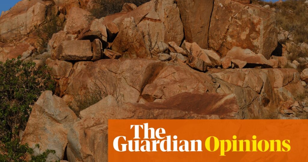 ‘The spin has been wrong’: rock art expert raises concerns over critical report ahead of Woodside decision | Adam Morton
