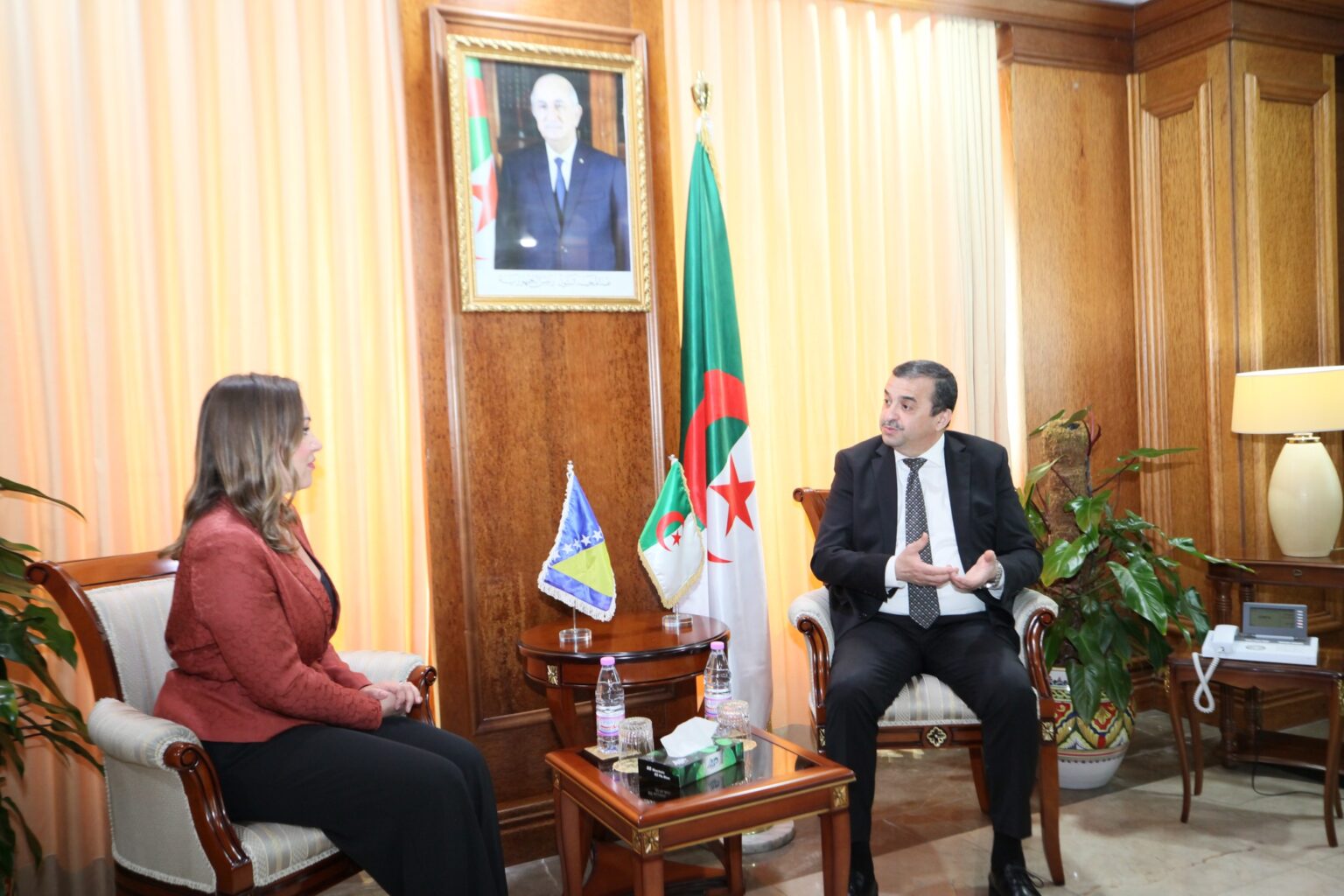 Algeria and Bosnia and Herzegovina Advance Strategic Energy Partnership: Minister Arkab Receives Ambassador Bojana Kondić Panić