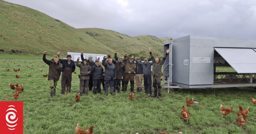 How a small community helped save thousands of chooks from Canterbury floods