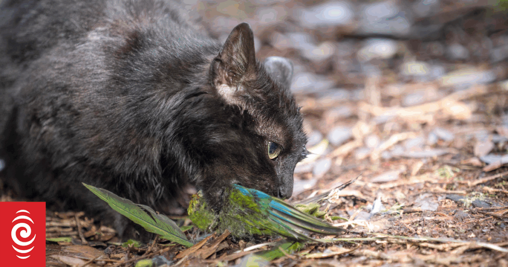 Sausage used as secret weapon in war against feral cats