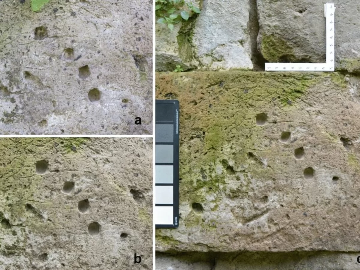 Evidence of the Use of a Polybolos, the Mythical Greek Repeating Weapon, at Pompeii in 89 BCE Discovered