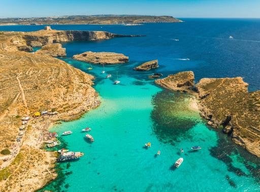 The Maltese Network