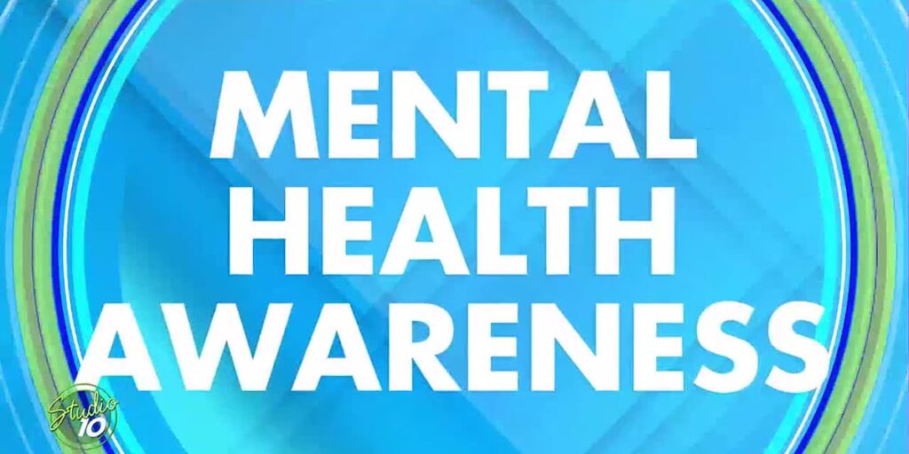 Healthcare providers converge on Graham Park for first ever Mental Health Resource Fair