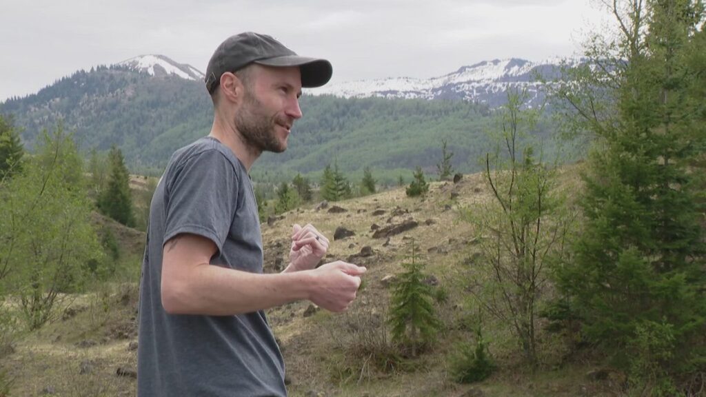 Mount St. Helens environment recovers 45 years after eruption