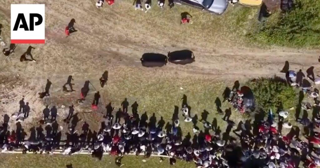 Bulls escape ring in Bosnia as spectators run for safety | Ap Video