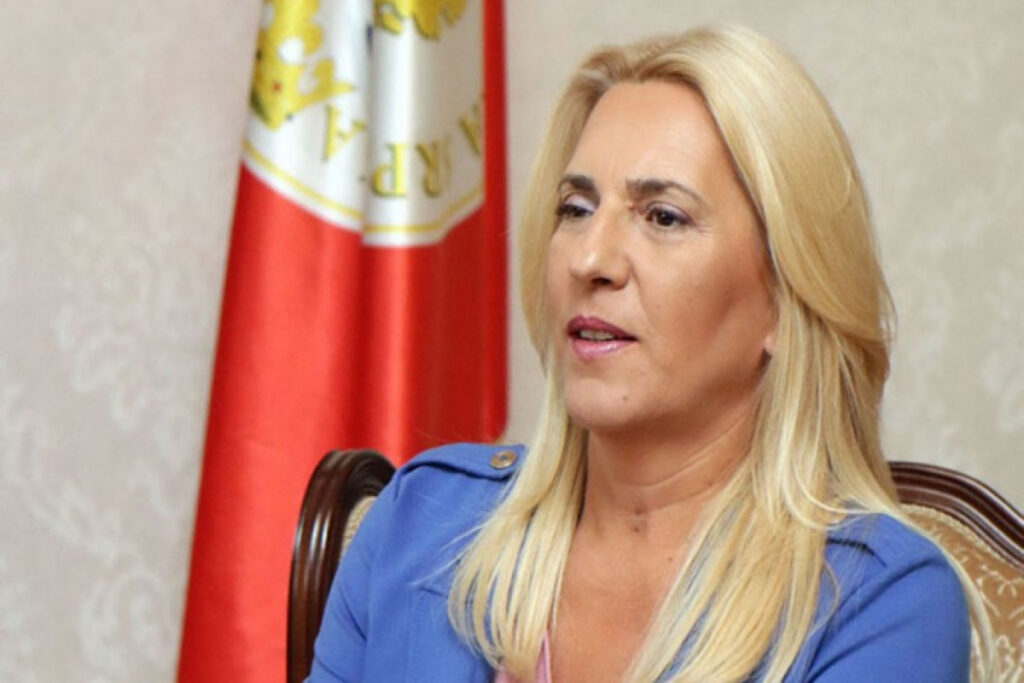 President Ilham Aliyev met with Chairwoman of the Presidency of Bosnia and Herzegovina President Ilham Aliyev met with Chairwoman of the Presidency of Bosnia and Herzegovina