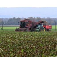 EU ready to tax Russian fertilisers as early as July | National