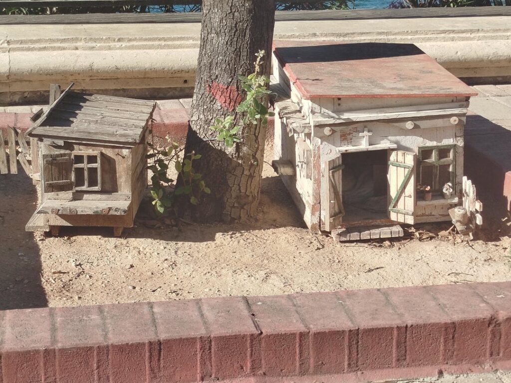 What is this?