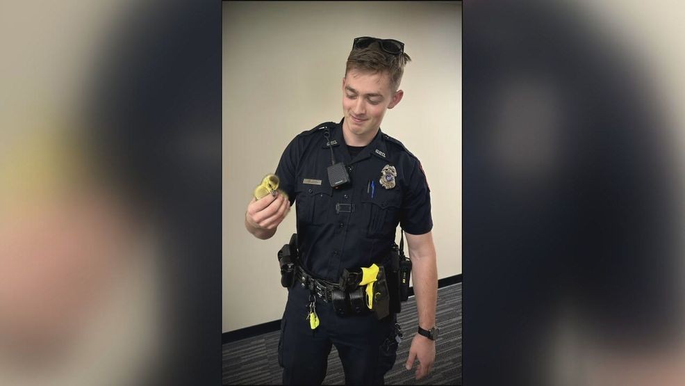 Greece police officer rescues stranded duckling found in middle of road station icon