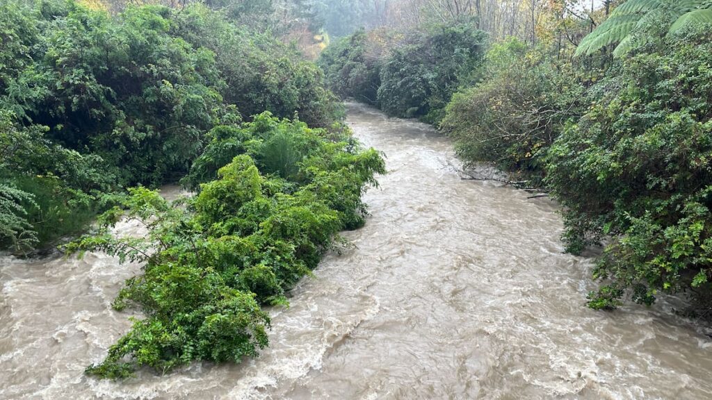 Teens on hike rescued after one was swept down Ngatiawa River in Tararua Forest Park, Wairarapa