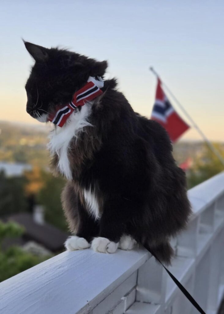 Move over the Royal Guard, This Floof Runs The Show Now. Happy birthday
