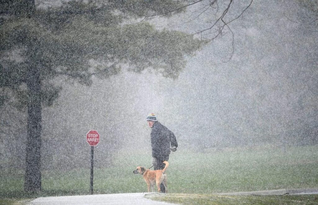 Thunderstorm brings strong winds, hail to Ottawa Friday evening