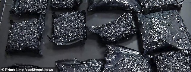 The woman is accused of bringing 'a particularly large amount of narcotic drugs to Georgia'
