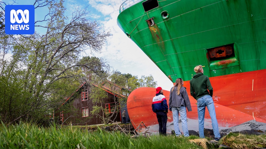 ‘Bulky new neighbour’: Norwegian man wakes to find cargo ship in his backyard 'Bulky new neighbour': Norwegian man wakes to find cargo ship in his backyard