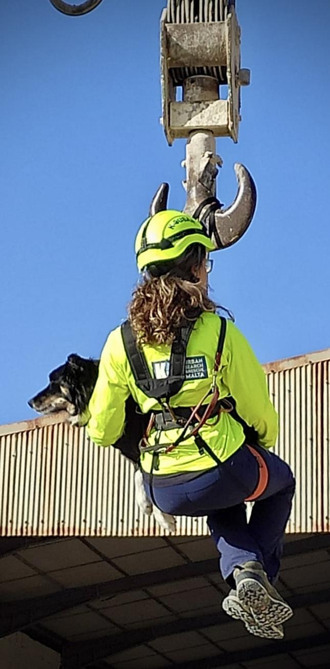 K9 Toby with his handler being lifted on a rooftop by a crane.