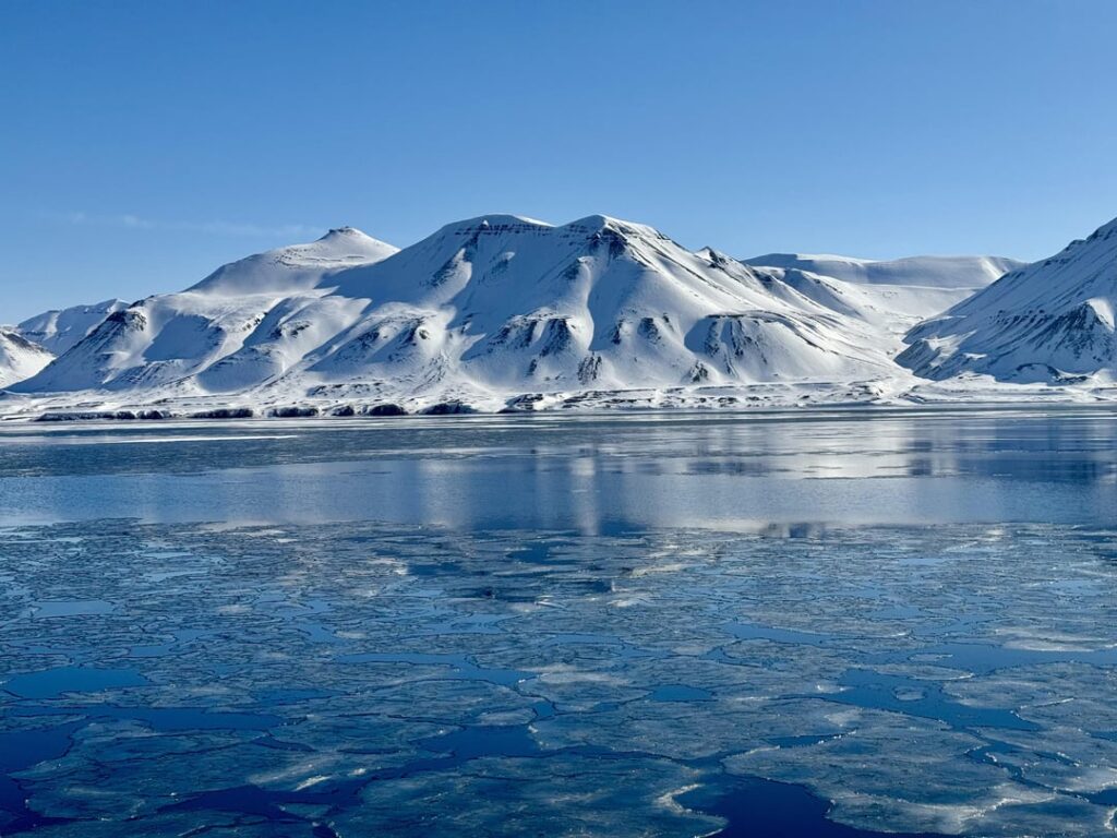 Svalbard 🐻‍❄️ 🦊 🐋 🦭 ⛰️ 🦌