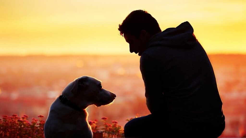 "Japan is the only country in the world where men are less happy than women... Surprising data shows that the more male-dominated a country is, the more unhappy men are"