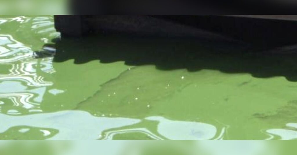 State environmental officials urge caution around discolored water