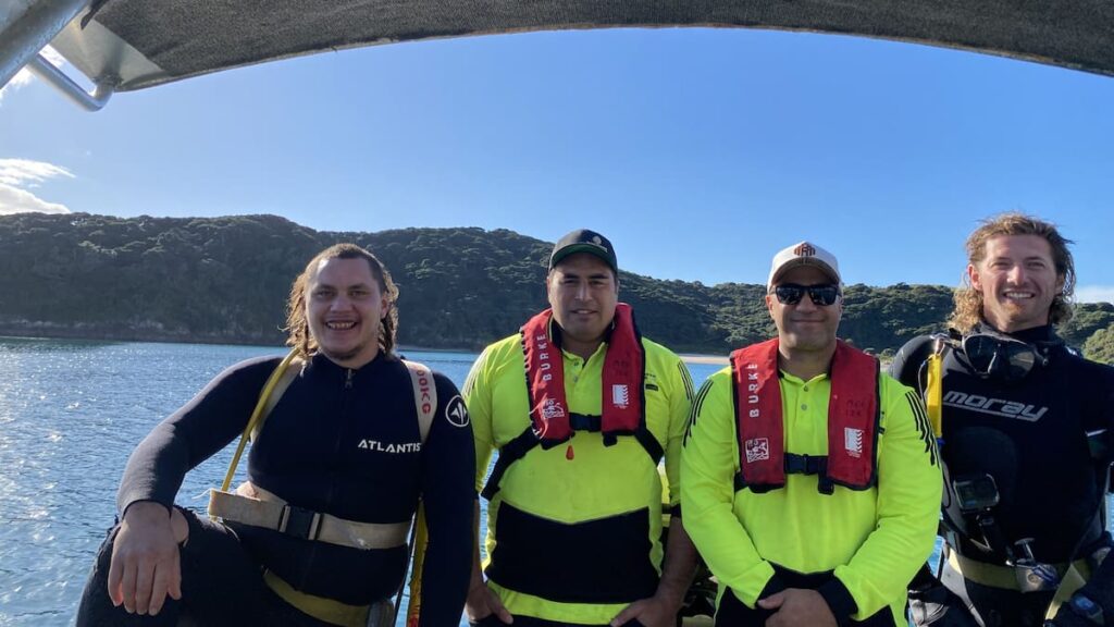 Northland divers start New Zealand-first caulerpa elimination work