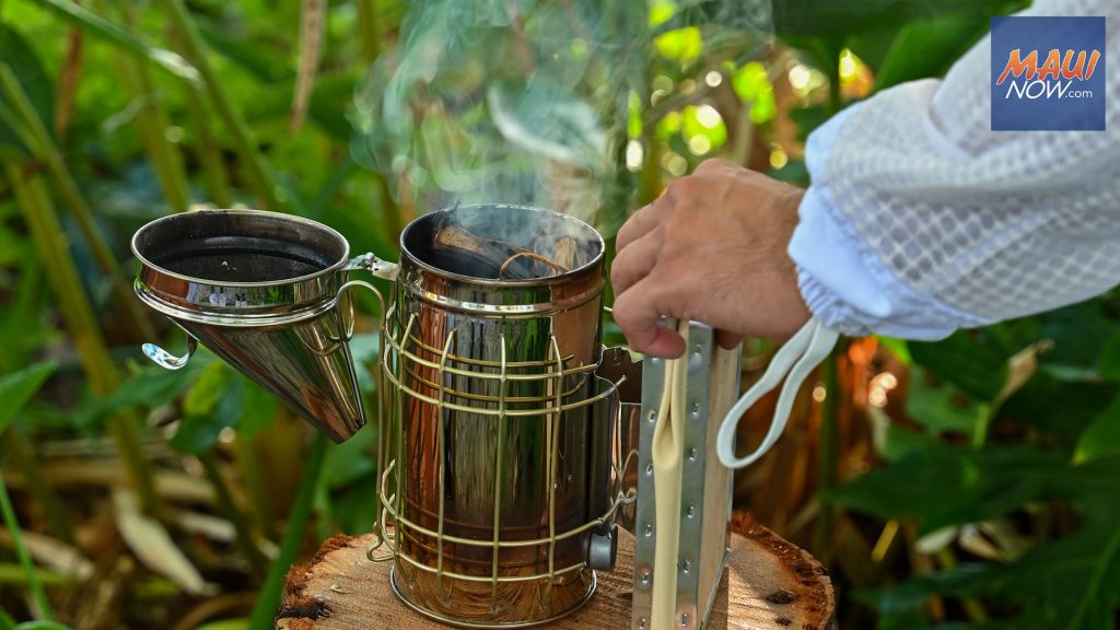 Four Seasons Resort Maui champions the environment through Bee Wonders Tour : Maui Now