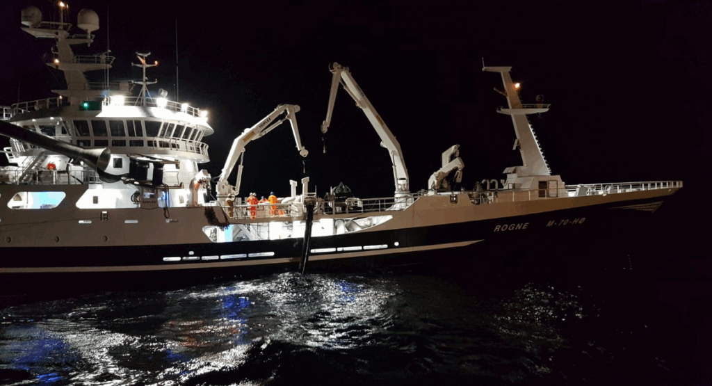 Norway mackerel export prices dip, herring step up again