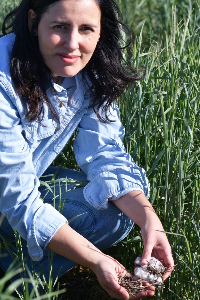 Carolina Brandani, Ph.D., A Texas A&M AgriLife Research soil scientist in Amarillo shows cotton gin trash residue being used as a soil amendment to improve soil health in a wheat crop. (Kay Ledbetter/Texas A&M AgriLife)