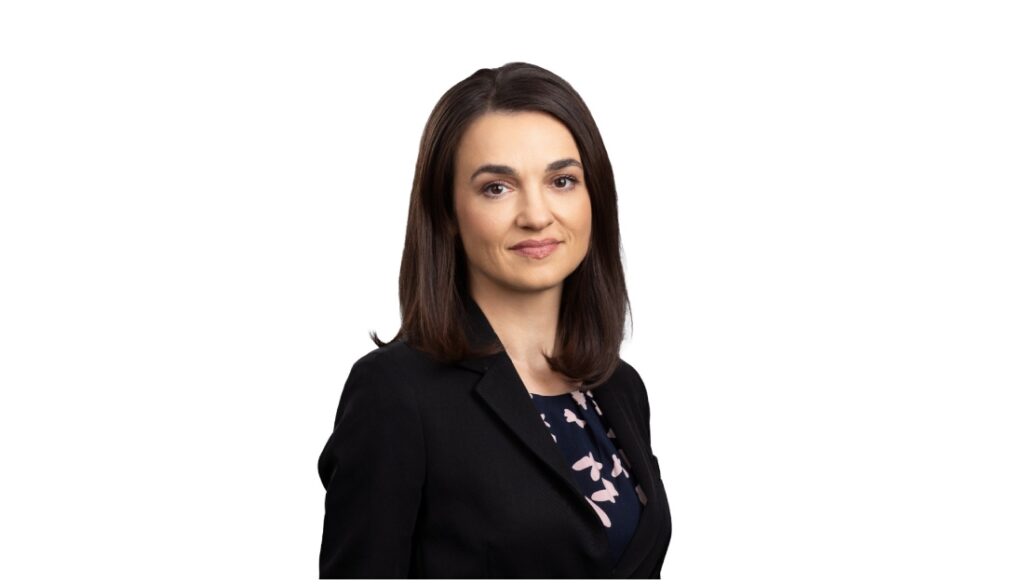 Key challenges for the business environment in 2025: intensified tax audits and fiscal policy changes
