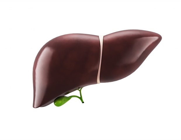 Single gene found to play a big role in how the liver stores energy
