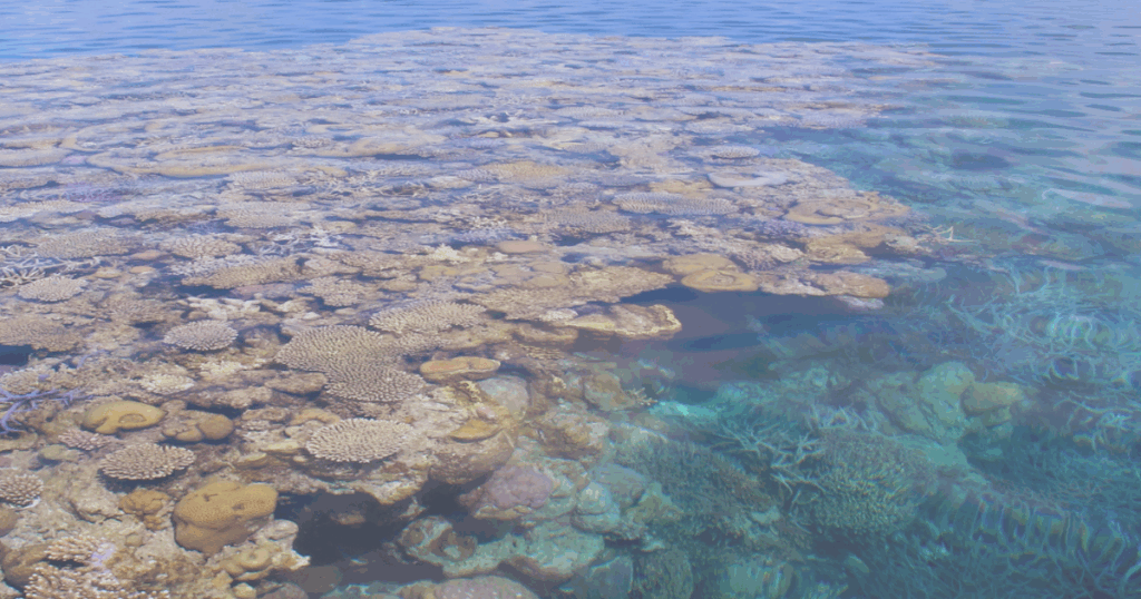 Sign the open letter to the environment minister