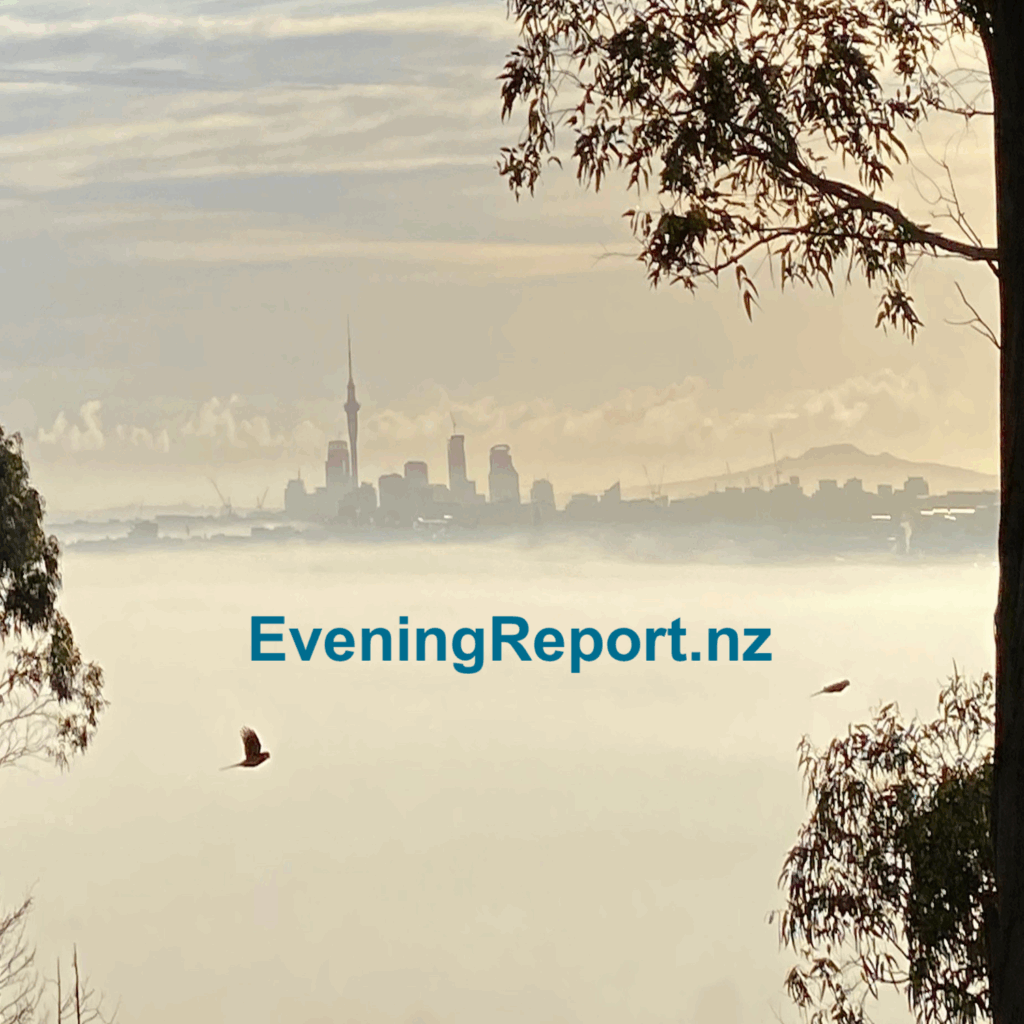 New Aussie film The Correspondent is an extraordinary retelling of Peter Greste’s story
